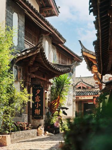 Dayan Old Town House | 夕露小榭古城纳西客栈 Xilu Xiaoxie Inn Old Town NAXI Lijiang