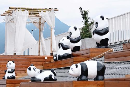 Dujiangyan Hotel | 都江堰贡坐私汤酒店