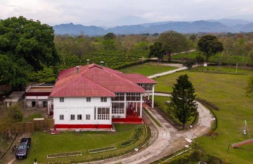 Arangajuli House | amã Stays & Trails - Budlapara Tea Retreat, Assam