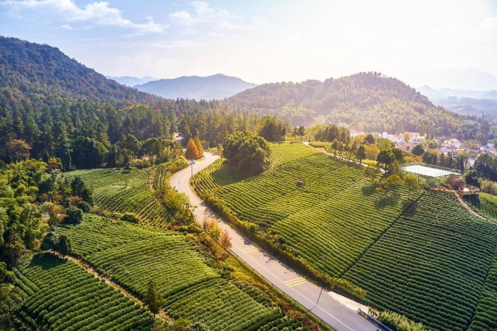 Anji Hotel | Banyan Tree Anji