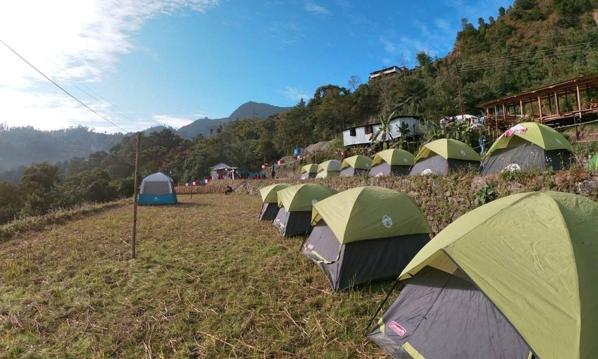 Henima Other | Camp Hornbill By GRB