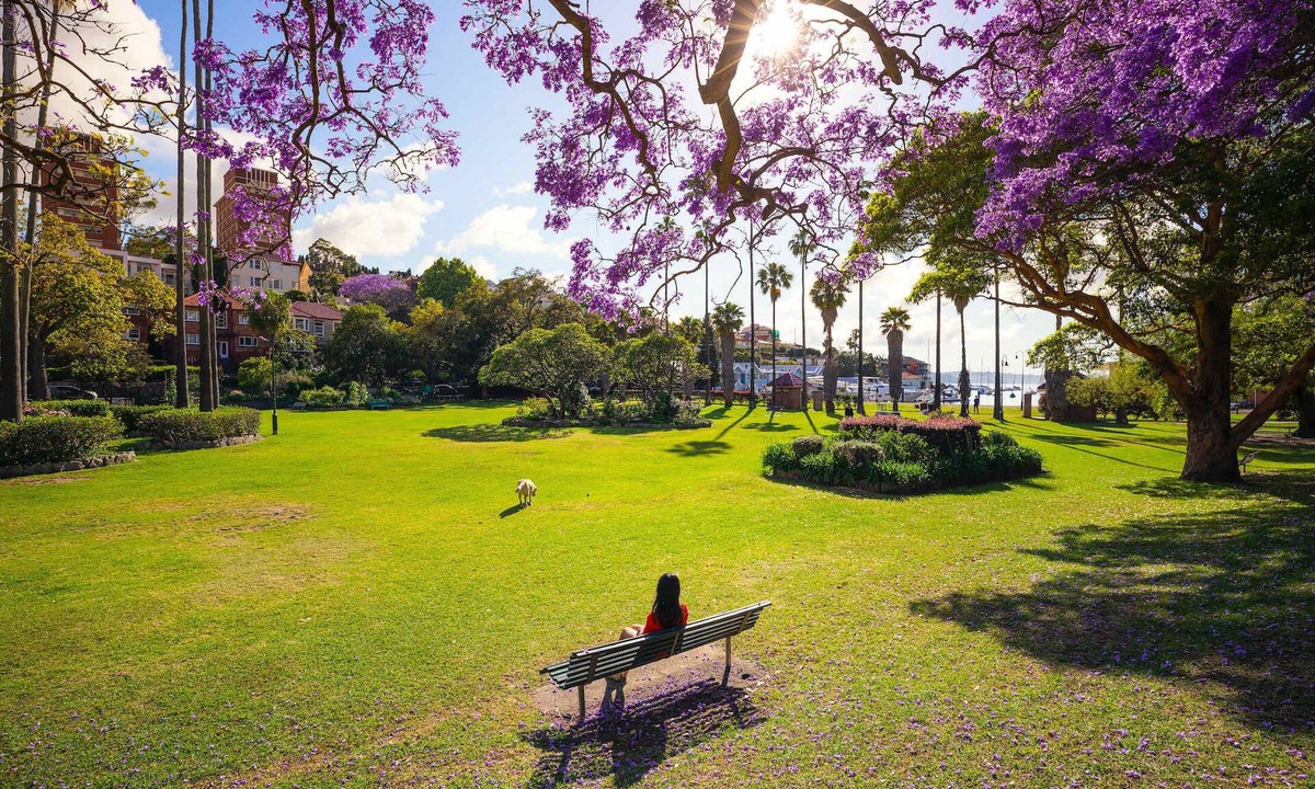 Kirribilli Cabin | Carnarvon Lodge