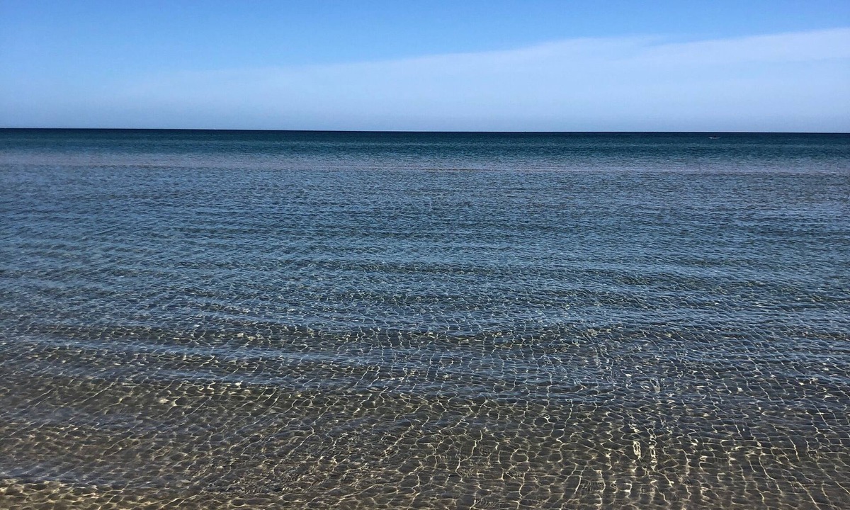 Carrum Apartment | Charming Beachside studio - 2 min to the beach , pets welcome .