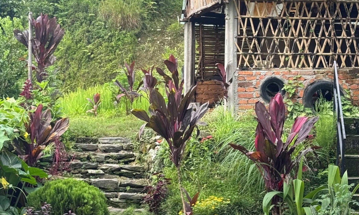 Pokhara House | Chipaskot Spot