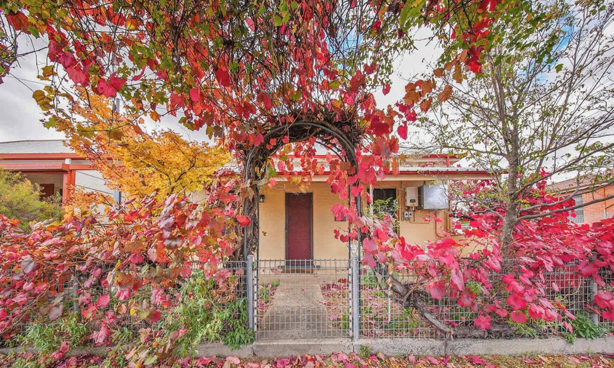 Orange East House | Coachman's Cottage - Cosy Charm, Pets Welcome