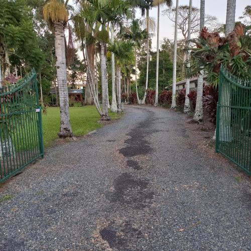 Emerald Beach Bed & Breakfast | Emerald Tropical Palms B & B