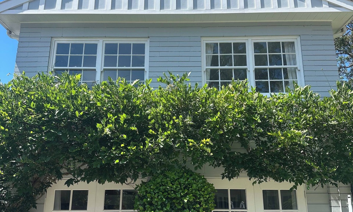 St Ives Cottage | Gorgeous Granny Flat on Sydney’s Leafy North Shore.