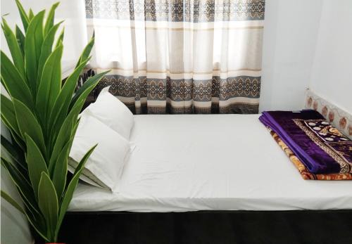 Dhaka Hotel | Hotel Taqwa Dhanmondi