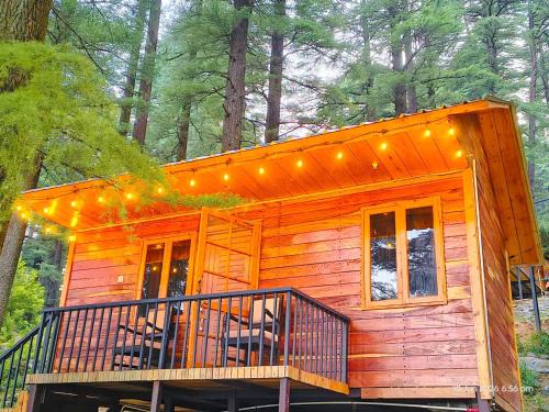 Dharamkot Resort | log hut dharamkot