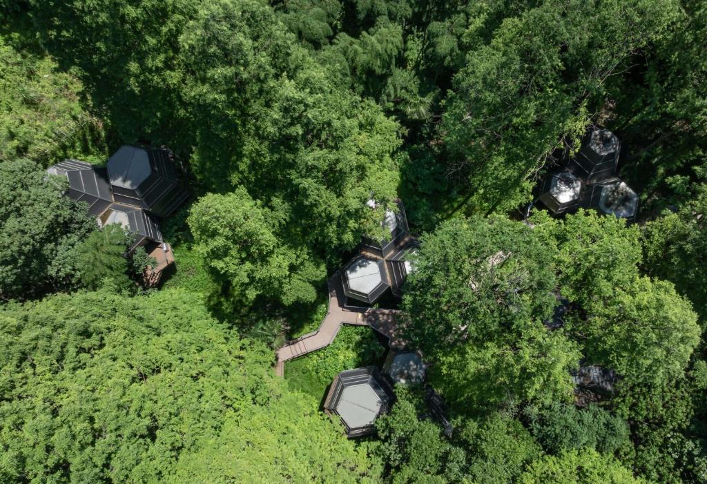 Yuhang District Hotel | LOSTLODGE·Dongming Mountain(Hangzhou Liangzhu Cultural Village)