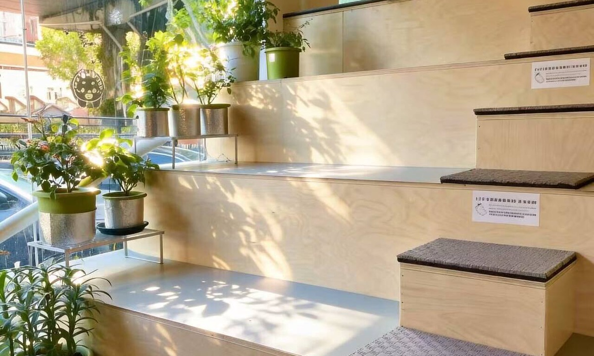Hong Kou Hostel | Meow Hero Youth Hostel