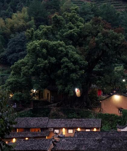 Lishui House | Mountain B&B-Songyang Yangjiatang Branch-
