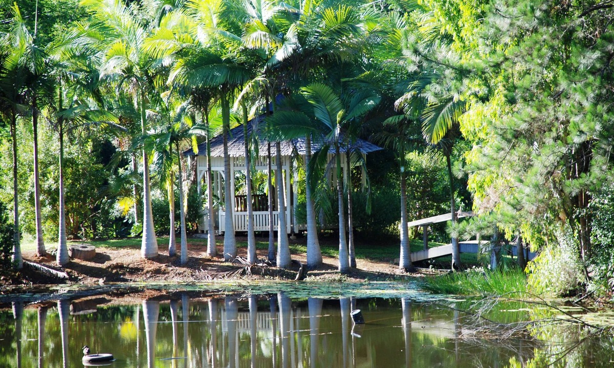 Mount Warning Cabin | Mt Warning Rainforest Retreat