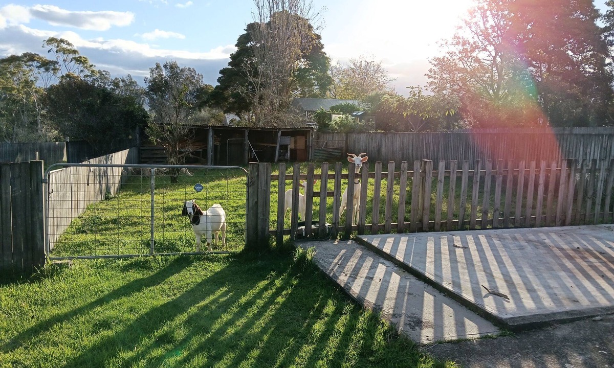 Milton House | Musicians Residence with a strong lean to Nature.