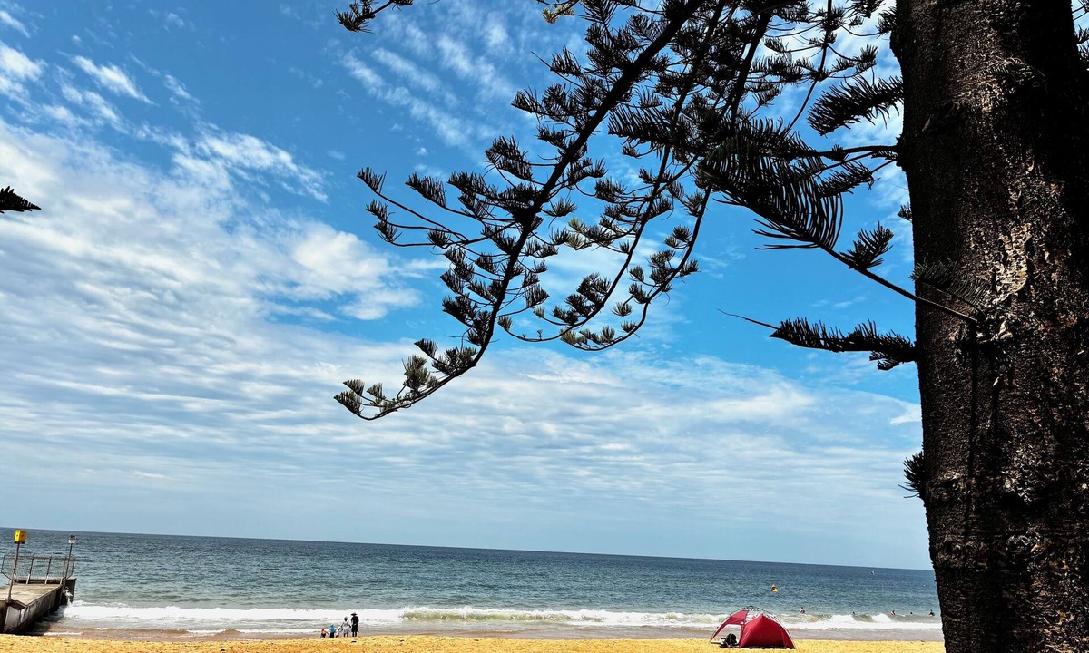 Collaroy House | *New Collaroy 3 B/R Northern Beaches Spacious & Renovated Beach Getaway Collaroy