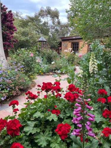 Witchcliffe Ski Chalet | Patricias Garden Studio