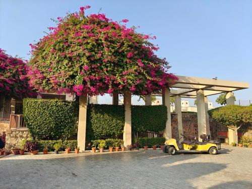 Bissar Akbarpur Villa | Private Golf course villa, 30 min from Gurgaon
