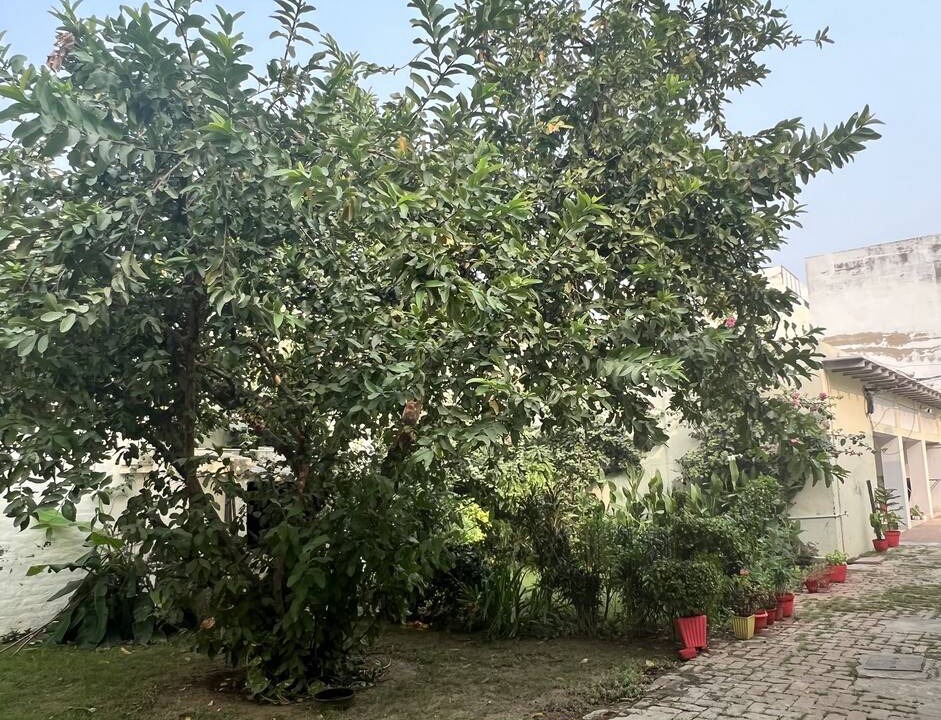 Rakabganj Resort | Private room ∙ 2 guests