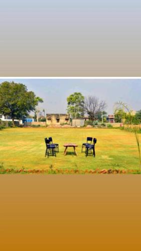 Sawai Madhopur Hotel | Ranthambore Bagh niwas