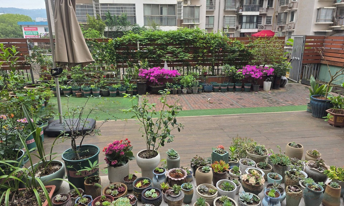 Yongding Bed & Breakfast | Rosie Lodge