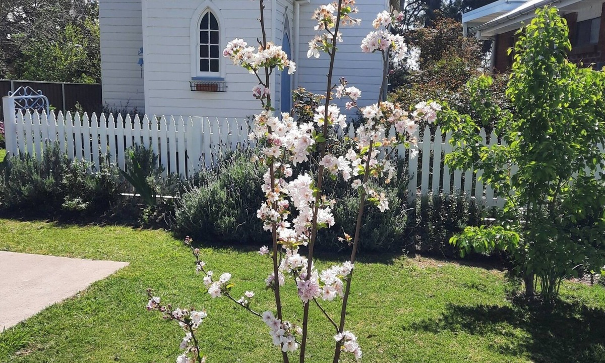 Central Mudgee House | Self Contained Restored Heritage c. 1914 Church SPECIAL - Pay 3 nights, stay 4