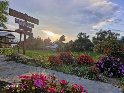 Phong Tho Apartment | Tổ Ếch Homestay
