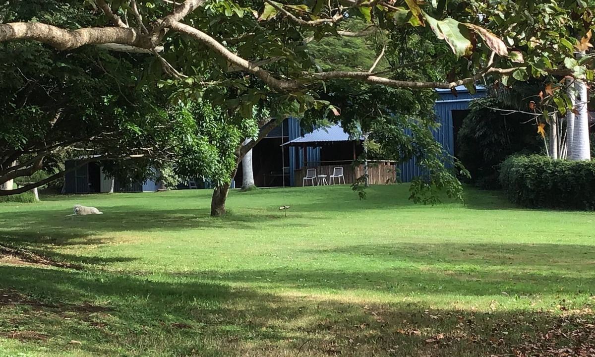 Myocum House | The Big Blue Barn - Spacious, Private and Relaxed.