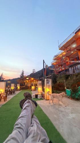 McLeod Ganj Bed & Breakfast | The Unmad - Dharamkot