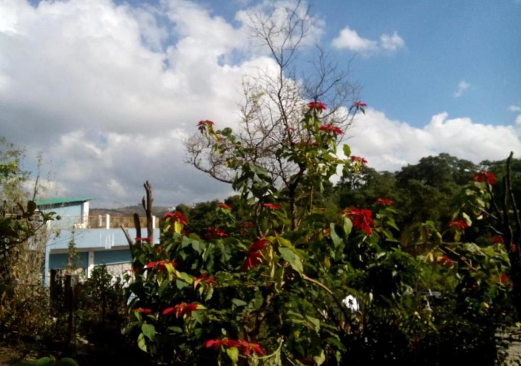 Laitumkhrah House | Troya Home Stay - Not a Hotel, A Home!