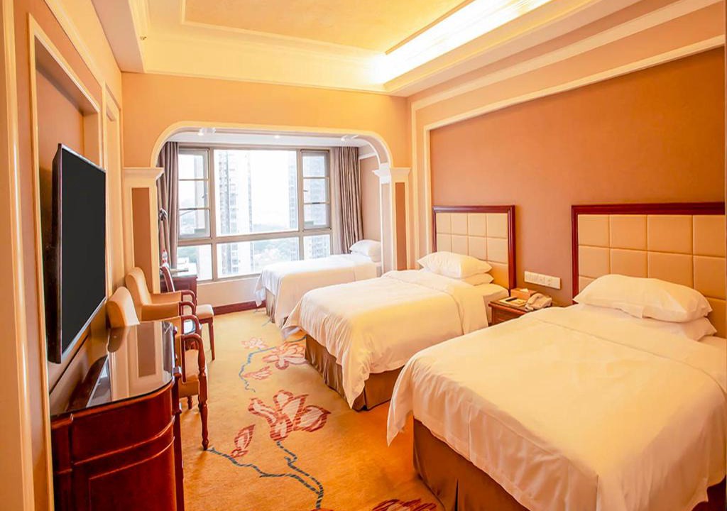 Lougang Hotel | Vienna Hotel Shenzhen Songgang Liye Road