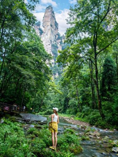 Wulingyuan Hotel | Zhangjiajie Yu Realm Hotel - Ancient Charm - Modern Luxury - Your Perfect Journey - A single pick-up or drop-off
