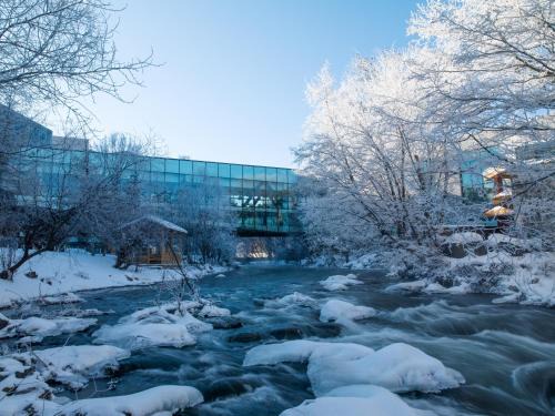 Changbai Mountain North Slope Hotel | Zhi Resort - Riverside