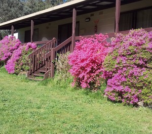 Emerald Park 
