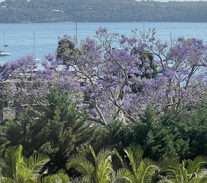 Bay 