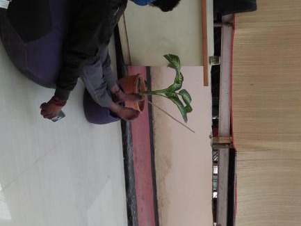 Varanasi Hostel | Red Banglow Foundation