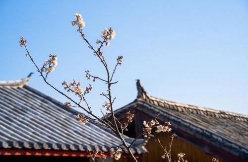 Dayan Old Town House | 丽江古城丨此间 Alley丨隐匿一方庭院丨忠义市场店丨