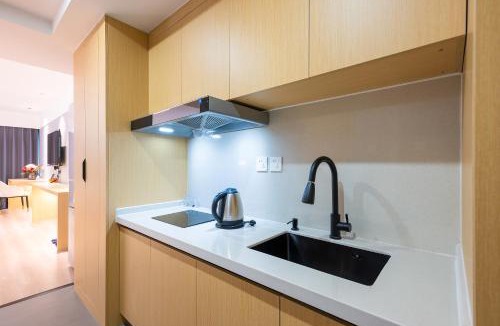Beijing Central Business District Apartment | 北京奉元新金山公寓
