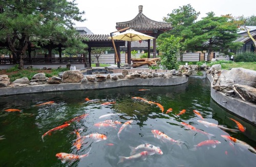 Pingxifu Hotel | 北京水城一瓢私汤度假酒店 Beijing Aqua City YiPiao Hot Spring Resort