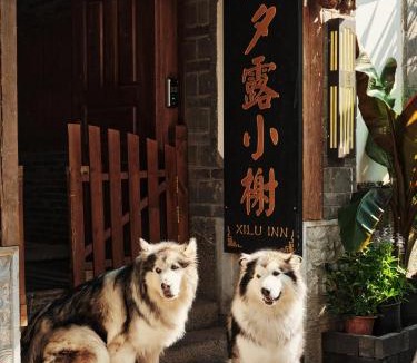 Dayan Old Town House | 夕露小榭古城纳西客栈 Xilu Xiaoxie Inn Old Town NAXI Lijiang