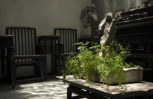 Dali Ancient Town House | 大理古城归渊民宿