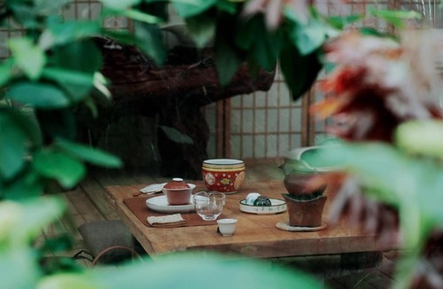 Changjiang County House | 景德镇树园心舍民宿JDZ Forest Haven B&B