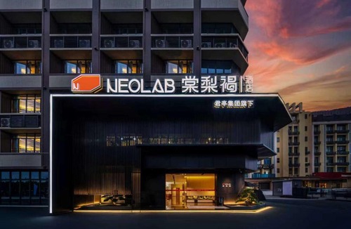 Guangzhou Hotel | 棠梨褐酒店 广州国际金融城奥体中心店