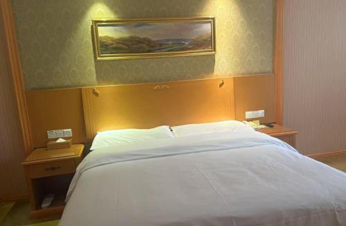 Hongshan Hotel | 维也纳武汉理工大学南湖文治街地铁站店