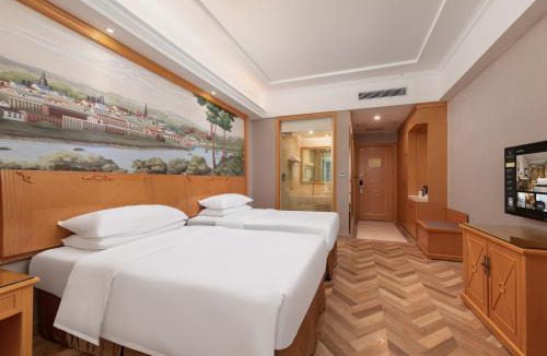 Conghua Hotel | 维也纳酒店广州从化水利学院金滙城店
