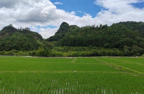 Sanming Cabin | 途中家舍泰宁 Home along the way
