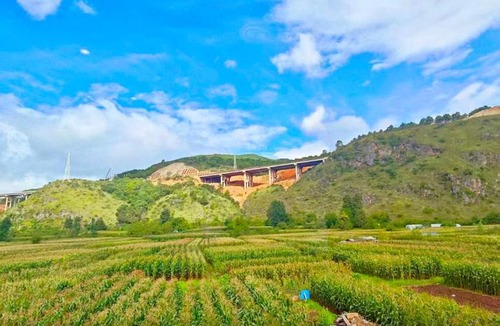 Shuhe Old Town House | 静山轩