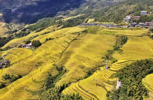 Longsheng Various Nationalities Autonomous County House | 龙胜风云酒店