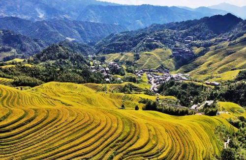 Longsheng Various Nationalities Autonomous County House | 龙胜风云酒店