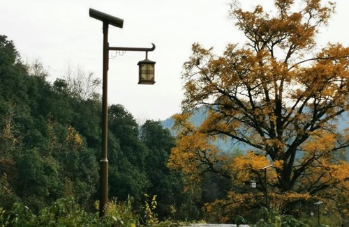 Tangkou Town Bed & Breakfast | 0517 Boutique Hotel