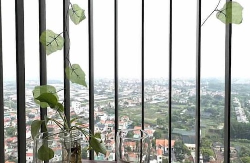 Van Giang Apartment | 2 bedrooms apartment 60m2 in Ecopark, nice view, high speed wifi, full amenities